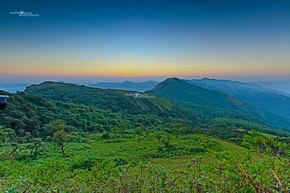 chickmagalur - nature photography